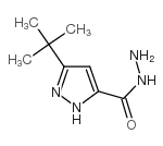 3-(tert-Butyl)-1H-pyrazole-5-carbohydrazide picture