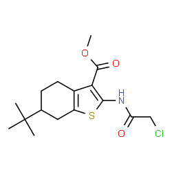 6-TERT-BUTYL-2-(2-CHLORO-ACETYLAMINO)-4,5,6,7-TETRAHYDRO-BENZO[B]THIOPHENE-3-CARBOXYLIC ACID METHYL ESTER structure