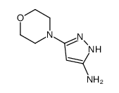 5-MORPHOLINO-1H-PYRAZOL-3-AMINE picture