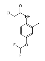 2-CHLORO-N-(4-DIFLUOROMETHOXY-2-METHYL-PHENYL)-ACETAMIDE结构式