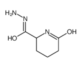 2-Piperidinecarboxylic acid,6-oxo-,hydrazide structure