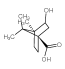 3-HYDROXY-4,7,7-TRIMETHYL-BICYCLO[2.2.1]HEPTANE-1-CARBOXYLIC ACID Structure