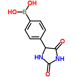 4-(2,4-DIOXOIMIDAZOLIDIN-5-YL)PHENYBORONIC ACID结构式