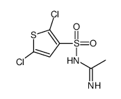 N'-(2,5-dichlorothiophen-3-yl)sulfonylethanimidamide Structure