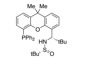 [S(R)]-N-[(1S)-1-[5-(二苯基膦基)-9,9-二甲基-9H-黄嘌呤-4-基]-2,2-二甲基丙基]-2-甲基-2-丙烷亚磺酰胺结构式