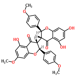 447454-49-1结构式