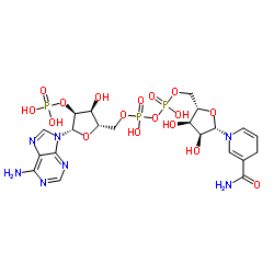 NADPH图片