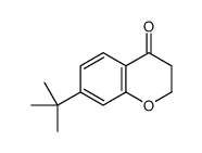 7-tert-butyl-2,3-dihydrochromen-4-one Structure