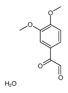 (3,4-Dimethoxyphenyl)(oxo)acetaldehyde hydrate (1:1) Structure