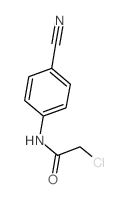 2-Chloro-N-(4-cyano-phenyl)-acetamide结构式