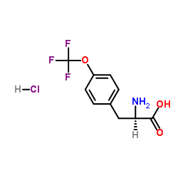 (R)-2-Amino-3-(4-(trifluoromethoxy)phenyl)propanoic acid hydrochloride picture