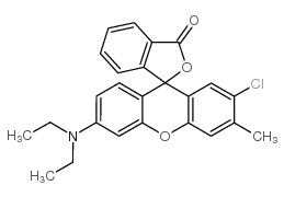 21121-62-0结构式