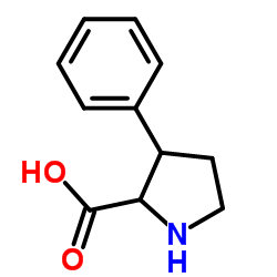 3-苯基吡咯烷-2-羧酸图片