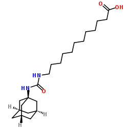 479413-70-2 structure