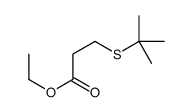 ethyl 3-tert-butylsulfanylpropanoate Structure
