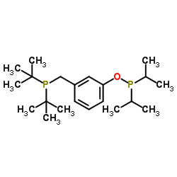 3-{[Bis(2-methyl-2-propanyl)phosphino]methyl}phenyl diisopropylphosphinite结构式