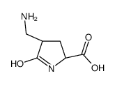 L-Proline, 4-(aminomethyl)-5-oxo-, (4R)- (9CI)结构式