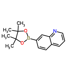 7-(4,4,5,5-tetramethyl-1,3,2-dioxaborolan-2-yl)quinoline structure