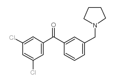 3,5-DICHLORO-3'-PYRROLIDINOMETHYL BENZOPHENONE图片