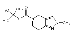 5-BOC-2-甲基-6,7-二氢-2H-吡唑并[4,3-C]吡啶图片