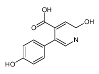 5-(4-hydroxyphenyl)-2-oxo-1H-pyridine-4-carboxylic acid结构式