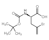 boc-d-2-amino-4-bromo-4-pentenoic acid picture