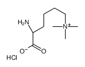 Nε,Nε,Nε-Trimethyllysine chloride图片