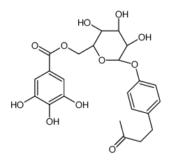 莲花掌苷图片