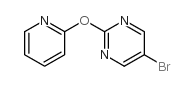 1017789-05-7 structure