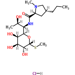 Lincomycin structure