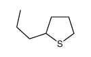 2-propylthiolane Structure