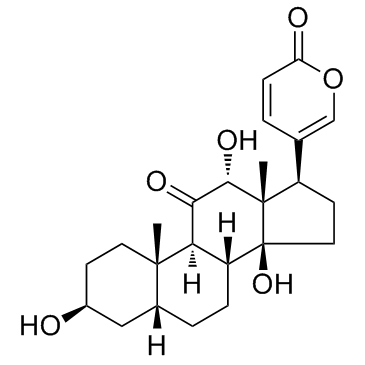 Pseudobufarenogin picture