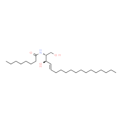 C8 D-threo Ceramide (d18:1/8:0) picture