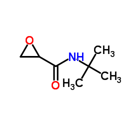 Oxiranecarboxamide, N-(1,1-dimethylethyl)- (9CI) Structure