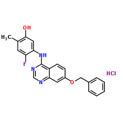 5-((7-苄氧基喹唑啉-4-基 )氨基)-4-氟-2-甲基苯酚盐酸盐图片