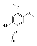 N-[(2-amino-4,5-dimethoxyphenyl)methylidene]hydroxylamine Structure