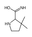 2-Pyrrolidinecarboxamide,3,3-dimethyl-(9CI) picture