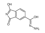 1,3-dioxoisoindole-5-carbohydrazide Structure