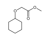 methyl (cyclohexyloxy)acetate结构式