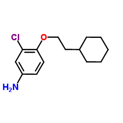 3-Chloro-4-(2-cyclohexylethoxy)aniline Structure