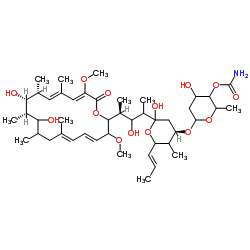 Concanamycin B Structure