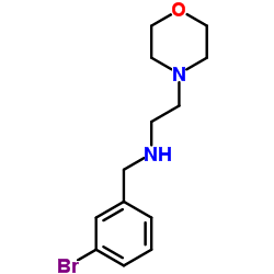 N-(3-BROMOBENZYL)-2-MORPHOLIN-4-YLETHANAMINE结构式