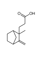 3-[(1R,3R,4S)-3-methyl-2-methylidene-3-bicyclo[2.2.1]heptanyl]propanoic acid Structure