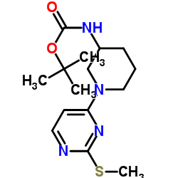 2-Methyl-2-propanyl {1-[2-(methylsulfanyl)-4-pyrimidinyl]-3-piperidinyl}carbamate图片