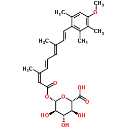 13-cis Acitretin O-beta-D-Glucuronide picture