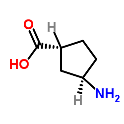 trans-3-aminocyclopentane-1-carboxylic acid picture