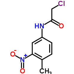 2-Chloro-N-(4-methyl-3-nitrophenyl)acetamide图片