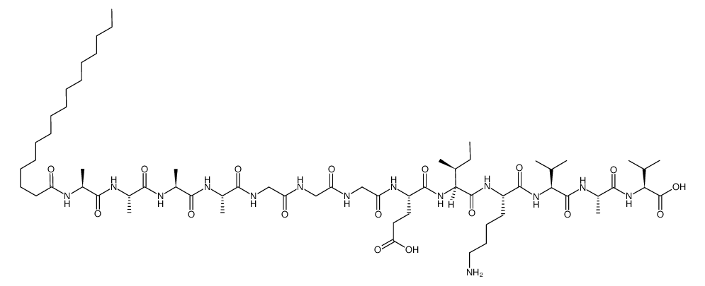 PA 1a Structure