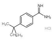 4-叔丁基苯甲酰胺盐酸盐结构式