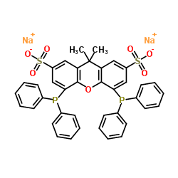 9H-Xanthene-2,7-disulfonic acid,4,5-bis(diphenylphosphino)-9,9-dimethyl-, disodium salt structure